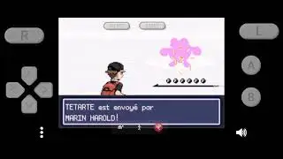 Pokémon Fire-Black 15