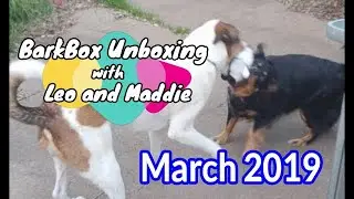 BarkBox Unboxing with Leo and Maddie - March 2019 - Extra Toy Club