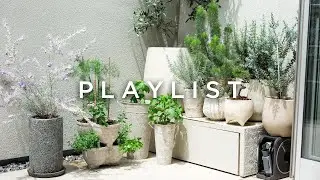【 Cafe Playlist 】心を落ち着かせる時間を☕好きな洋楽だけを集めたプレイリスト♪