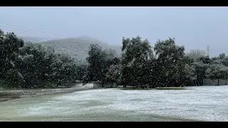 RARE SNOW in La Crescenta, Ca. 2023 - A drive around