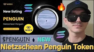 $PENGUIN - NIETZSCHEAN PENGUIN TOKEN CRYPTO COIN HOW TO BUY WEEX CEX SOLANA MEMECOIN SOL BLOCKCHAIN