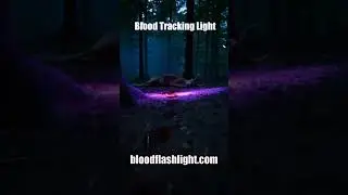 Best Blood Tracking Flashlights Available in 2025 Hunter&rsquo;s ESSENTIAL TOOL
