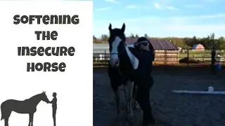 Softening the Insecure and Defensive Horse with Calm Patience