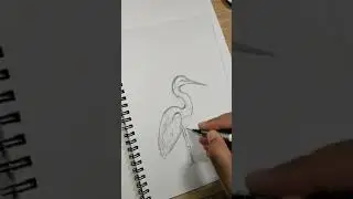 How to draw Heron #shorts #art #artist #youtube #youtubeshorts #birds #heron