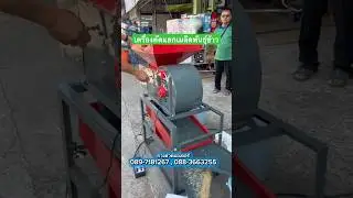 Rice seed sorting machine