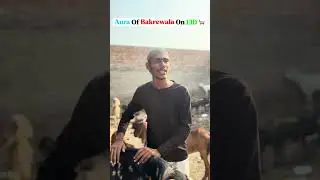 Demand Of Bakrewala On Eid 🤧 #shorts #funny #eid #deanprin