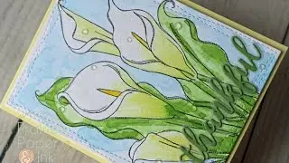 SSS Thankful | Mission Gold Watercolors | Color Throwdown Challenge 436