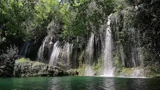 Успокаивающие звуки водопада и пение птиц для релаксации | Soothing waterfall sounds and birdsong