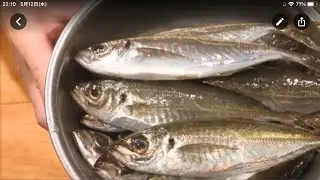 《小鯵の酢締め》・・・・大和の　和の料理《酢締め（リハビリ編)》