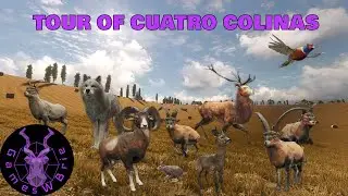 The Cuatro Colinas Collection!