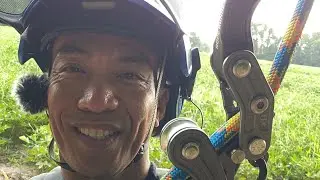 RC Plane Rescue Tree Climb