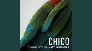 Queen Of Birds