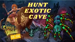 HUNT ISSAVI EXOTIC CAVE 🔴LIVE! TIBIA EK 169 COLLABRA GLOBAL