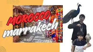 Story of Marrakech market in #morocco  #travel #2026 #story #youtubechannel #youtuber #ytshorts 