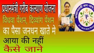 Widow Pension Divyang Pension money came to the Jan Dhan account or not.