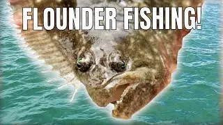 OCEAN CITY FLOUNDER FISHING on Baybee Party Boat in Maryland
