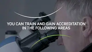 BIM Training and Skills