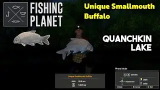 Unique Smallmouth Buffalo Quanchkin Lake - Fishing Planet