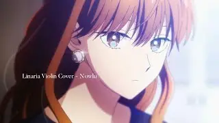 Linaria Violin Cover - Nowlu | The Ice Guy and His Cool Female Colleague | こうり族男子とクールな同級生 | ED FULL