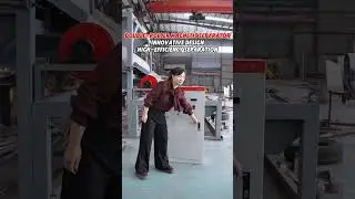 Double Roll Magnetic Separator: Double Magnetic Force + High-Efficiency Sorting. #magnetic#sorting