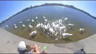 MADV Mini Panoramic Camera for Android Video Sample @ Lacul Lebedelor - Neptun & Jupiter Black Sea