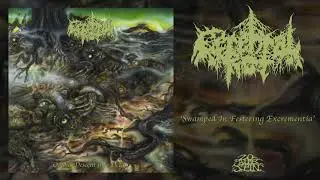 CEREBRAL ROT - Swamped In Festering Excrementia (From 'Odious Descent Into Decay' LP, 2019)