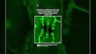 BREAKING 🚨 Scientists Just Caught Plants Breathing in Real Time #plants #science #trendingshorts