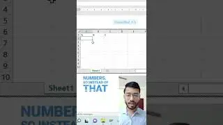 insert spreadsheet in MS Word #msword #excel #tutorial
