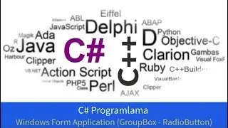C# Programlama (Windows Form Application - GroupBox - RadioButton )