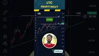 Litecoin Profit Rally...