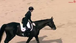 Veronica Pawluk  FALLETE OLD CDIJ Aachen 2025