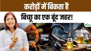 Scorpion Venom Farming: जिससे लोग डरते थे वही बना करोड़ों की कमाई का जरिया,  बिच्छू के जहर की कहानी