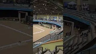 Alltech Arena at Dressage Finals! #shorts