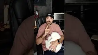 1000$ to 100,000$ - week finished. BINARYOPTION FREE SIGNALS:  