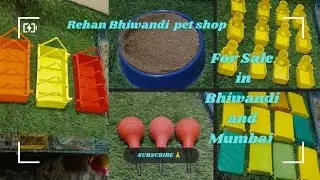 Pigeons Accessories available for Sale Rehan Bhiwandi pet shop in Bhiwandi and Mumbai #accessories