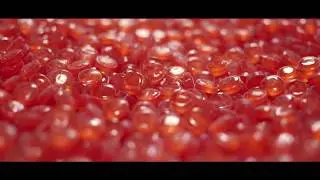 Lozen Pharma-  Innovating Confectionery for Healthcare