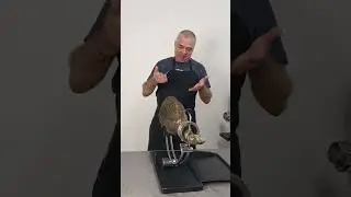 На нарезке хамон ib&eacute;rico de bellota с историей 