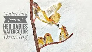 Mother bird feeding her babies-Watercolor Drawing