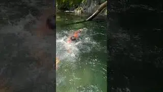 Nadando en Hermosos R&iacute;os.🏊&zwj;♀️