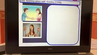 Social action theories