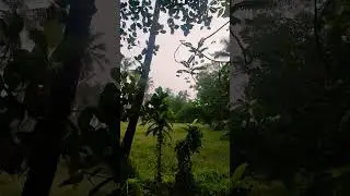 മഴവില്ലിൻ ❤️❤️❤️❤️❤️❤️