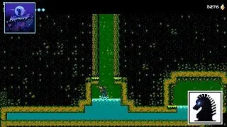 NS The Messenger - Exploration #9: Bamboo Creek Redux - Claustro Rescue
