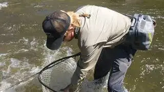 Unedited - Piney River Fly Fishing - Sage Outdoor Adventures