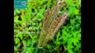 New Beginning in life: Another chapter and amazing peice of the year please watch#nhelzvlog07
