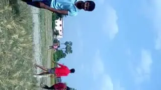 Bihari cricket
