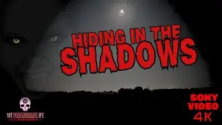 HIDING IN THE SHADOWS #4K #visitedbyaspirit #ghostencounters #bigfootencounters