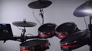 Обзор комплекта Alesis Crimson Mesh