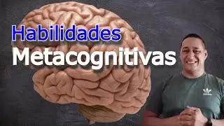 Habilidades Metacognitivas