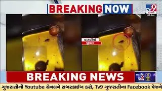 Insect in Gulab Jamun at Octant Pizza,  Shop Sealed After Viral Video in Ahmedabad | Guarat | TV9