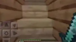 Kid gets attacked by bees in minecraft meme